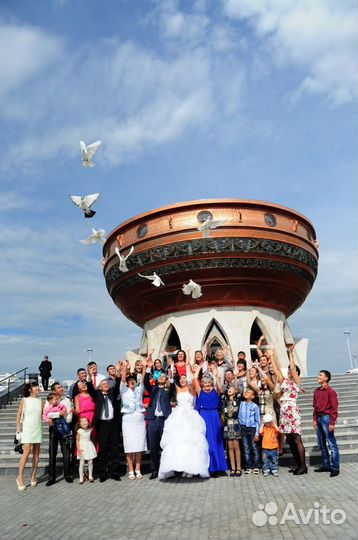 Аренда голубей (Голуби на свадьбу и торжества )