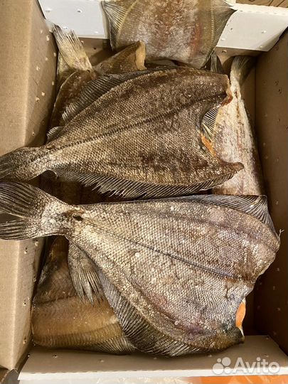 Камбала ерш вяленый