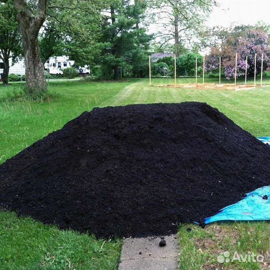 Чернозем земля