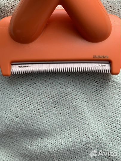 Товары для животных