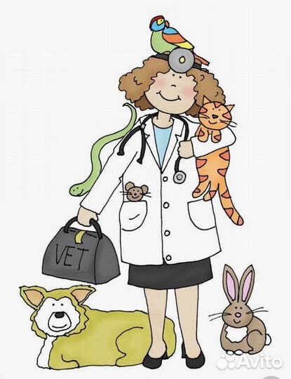Ветеринарный врач