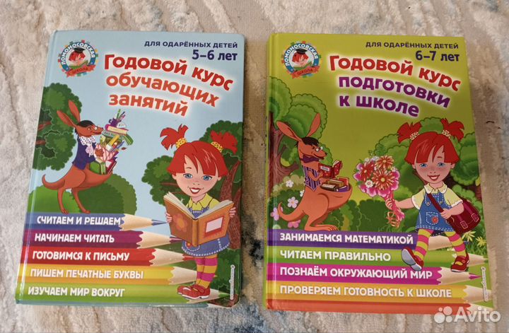 Годовой курс занятий(Ломоносовская школа)