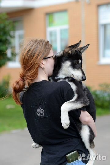 Арсюша милый мальчик