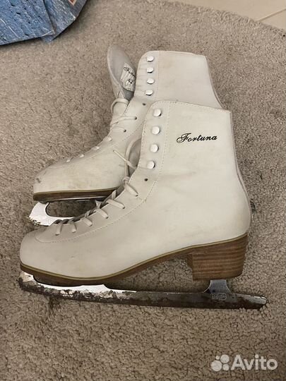 Коньки Nordway женские 42 Fortuna