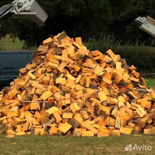 Дрова из леса