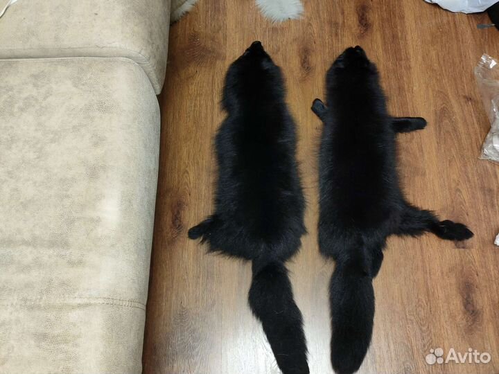 Шкуры песца