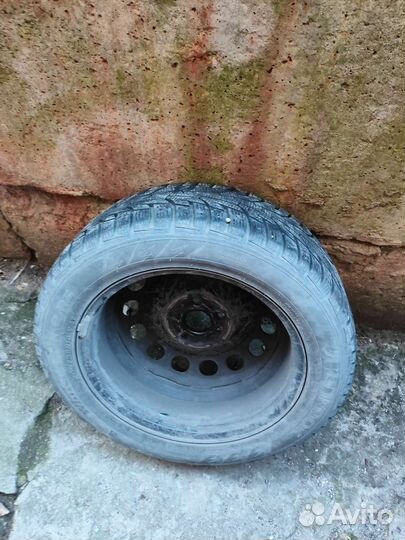 Hankook Winter I'Pike 205/55 R16