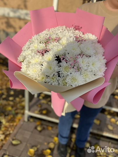 Хризантема букет цветы