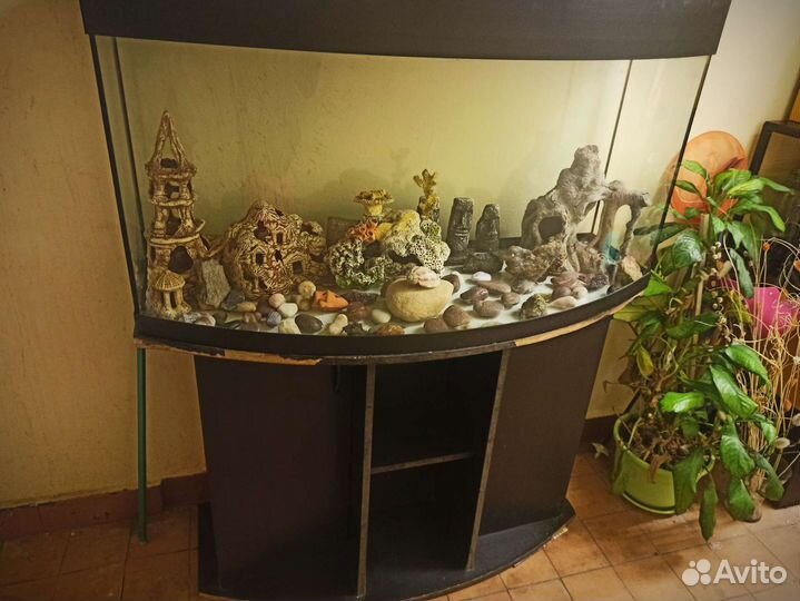 Аквариум 240 литров с тумбой и допом