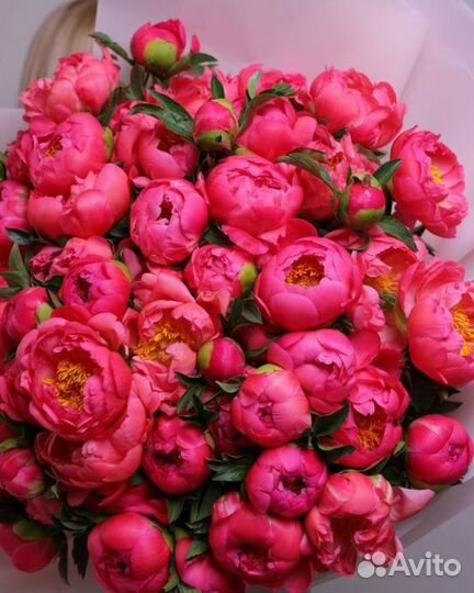 Бесплатная доставка цветов