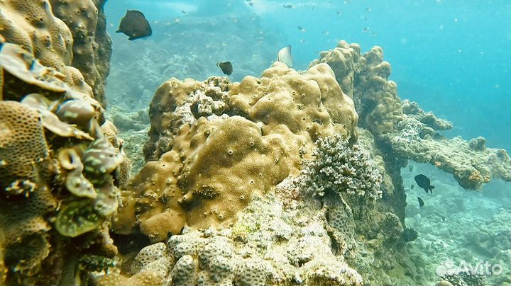 Аренда яхты пхукет