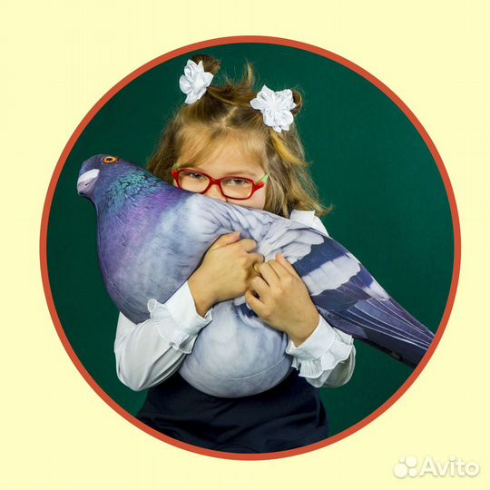 Фотограф, видеооператор, монтажер