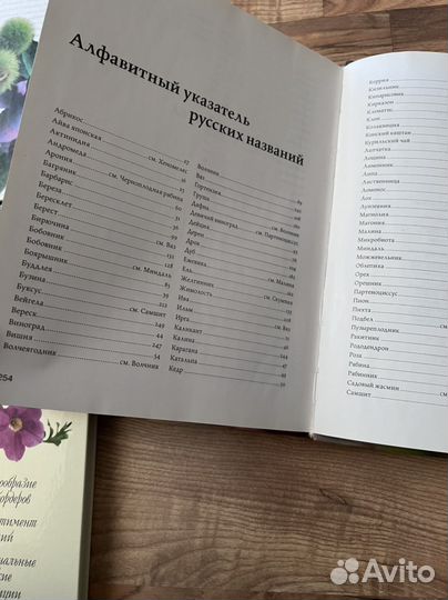 Деревья и кустарники энциклопедия