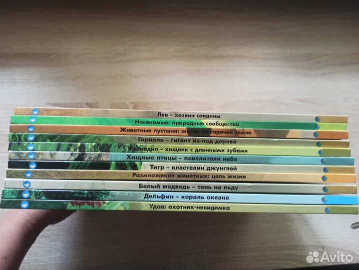 Книги пакетом