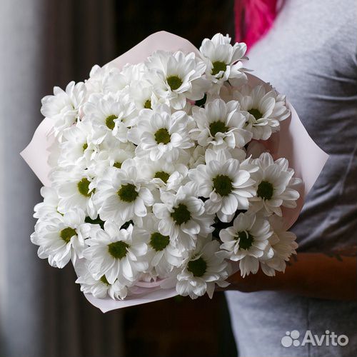 Букет из 5 кустовых хризантем в пленке