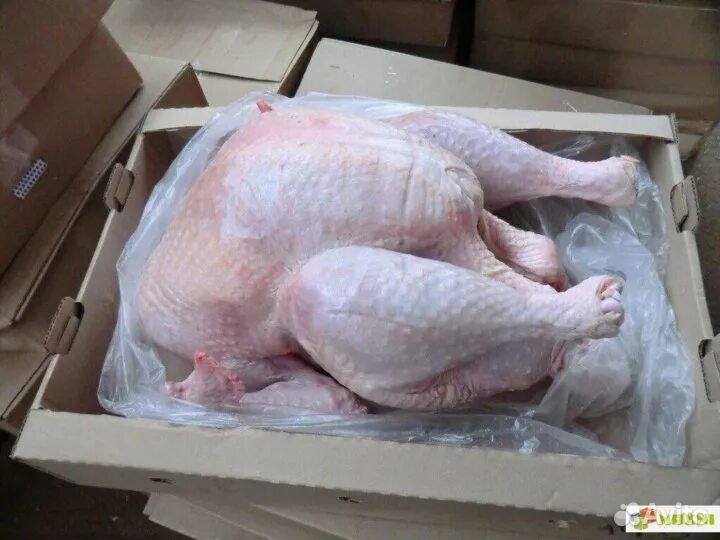 Мясо индюка