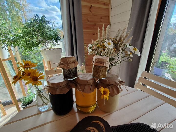 Мёд Алтайский пыльца прополис перга 2023 Мтщ