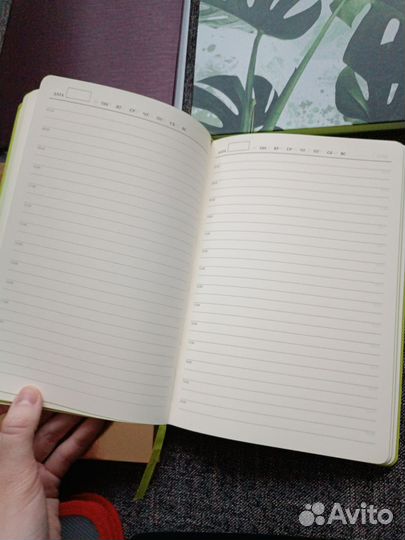 Скетчбуки, блокноты, тетради на кольцах, папки