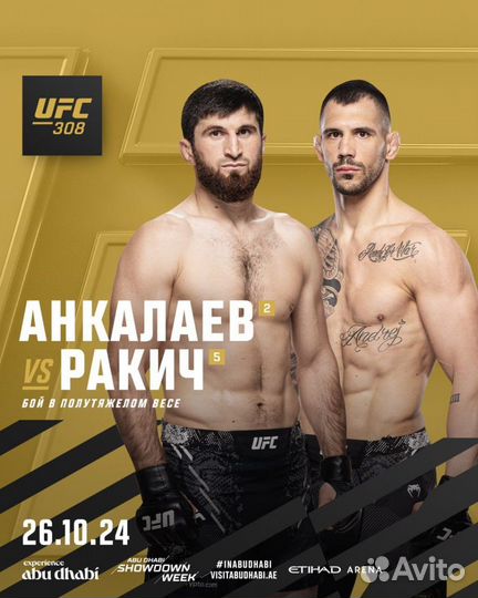 UFC 308 Билеты