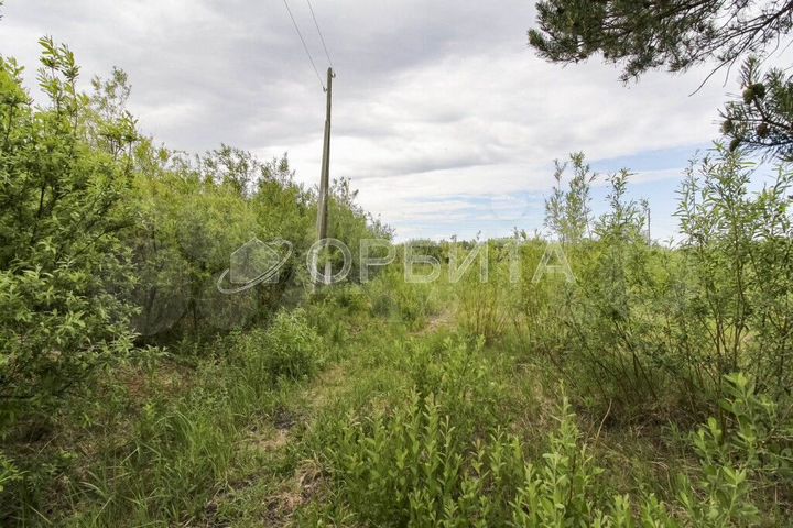 Участок 9 сот. (СНТ, ДНП)