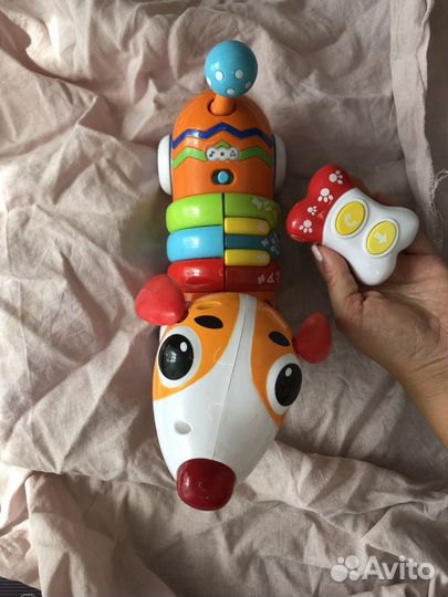 Собака на пульте упоавления BabyGo