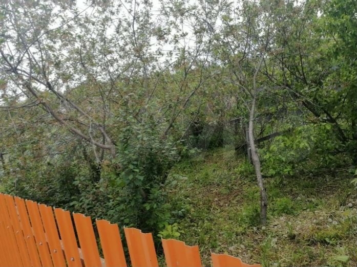 Дом 67 м² на участке 50 сот.