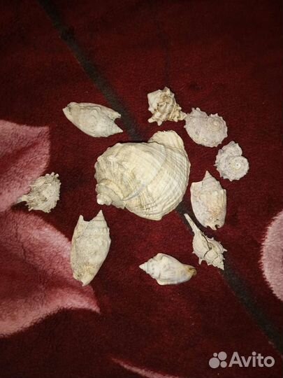 Еврогрунт для аквариума