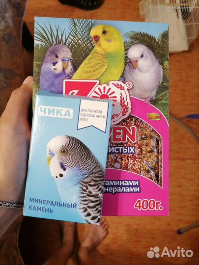 Клетка для попугая, в подарок корм