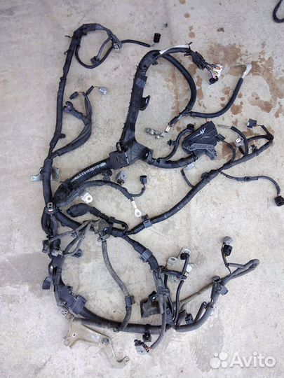 Проводка (коса) Toyota Corolla XII (2019– н.в.)