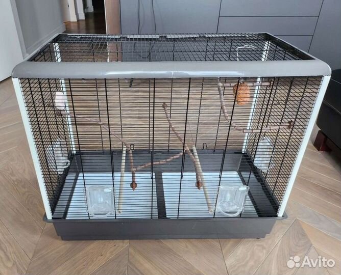 Попугай монах/квакер с большой клеткой, лампой итд