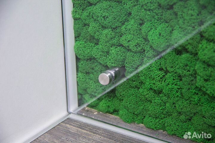 Мох стабилизированный - Фартук из стекла