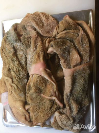 Мясо для собак и других животных с доставкой