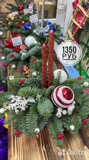 Композиции из нобилиса