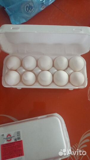 Домашние куриные яйца
