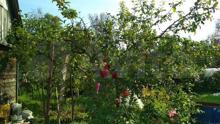 Дача 10 м² на участке 6 сот.