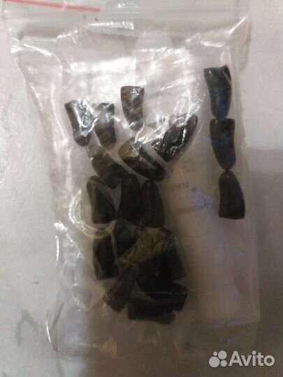 Одежда для собак