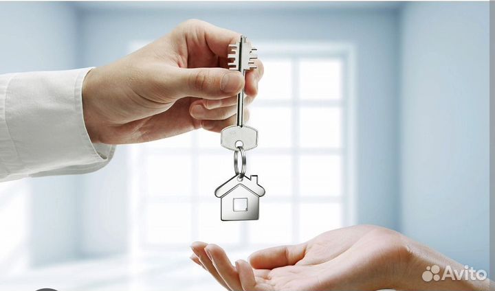 Возьму недвижимость в управление