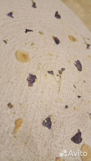 Спил из дерева