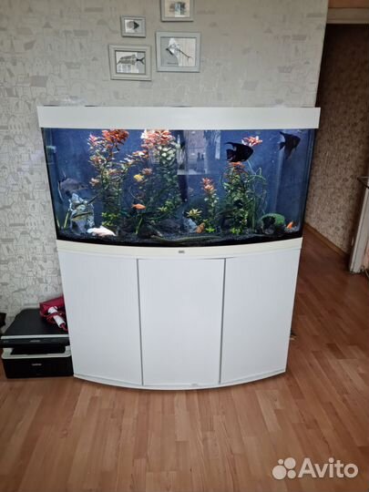 Аквариум панорамный Juwel Vision260 (250 л)