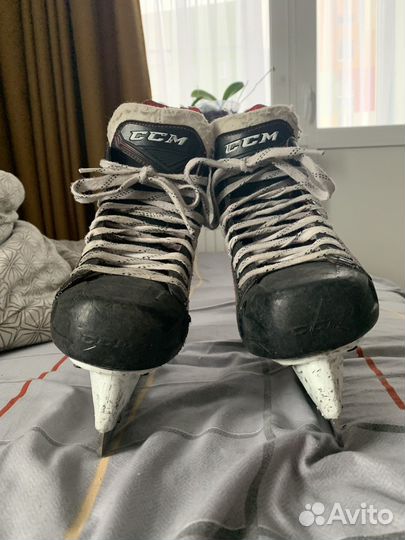 Коньки хоккейные ссм Ft360