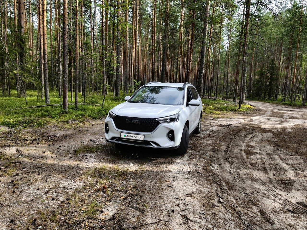 HAVAL M6: фото из отзыва