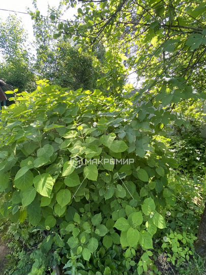 Дача 10 м² на участке 7,2 сот.