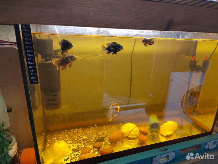 Аквариум