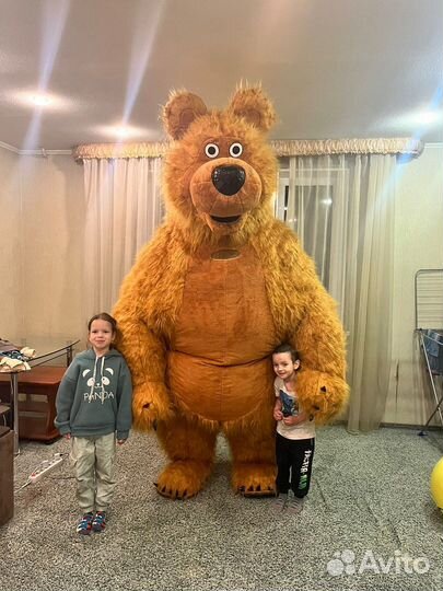 Аэромедведь