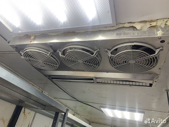 Камера Холодильная камера для мяса для хранения