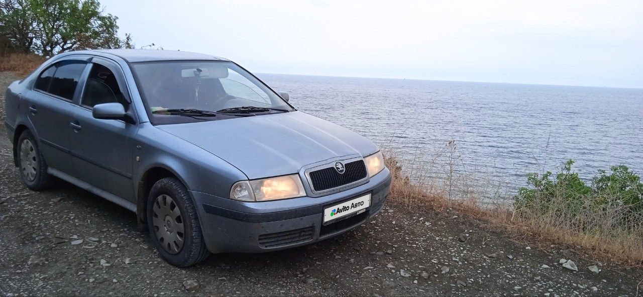 Skoda Octavia: фото владельца