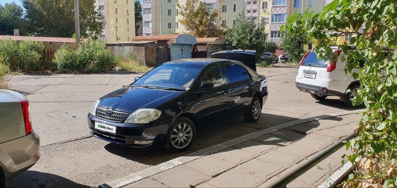 Toyota Corolla: фото владельца