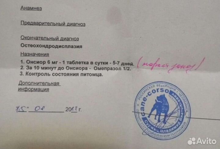 Кошечка в добрые руки