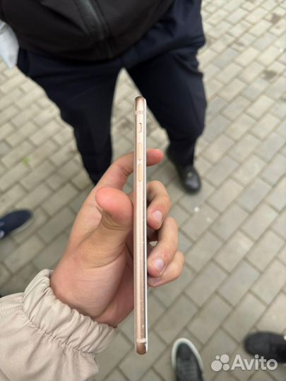 iPhone 8 Plus, 256 ГБ