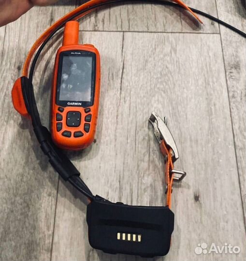 Навигатор Garmin Alpha 50 с ошейником T5